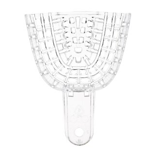 President Tray klein OK Gr.5 Dtz