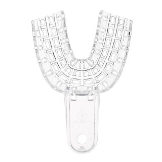 President Tray klein UK Gr.6 Dtz