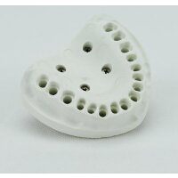 Zahnmodell Basis OK   St