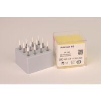 Arkansas Stein FG AS 02.025 12St