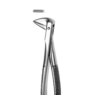 Zahnzange M74 UK Wurzeln  St