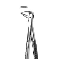 Zahnzange M74 UK Wurzeln  St