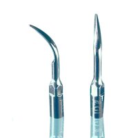 Woodpecker Tip G1 Scaler EMS St