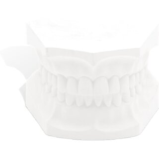 Orthodontic Plaster weiß  22,7 Kg