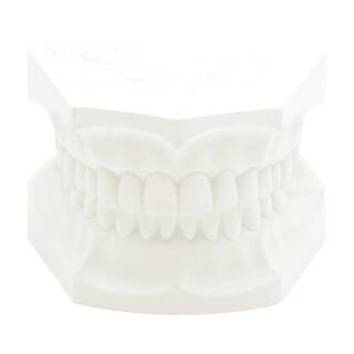 Orthodontic Plaster weiß  22,7 Kg