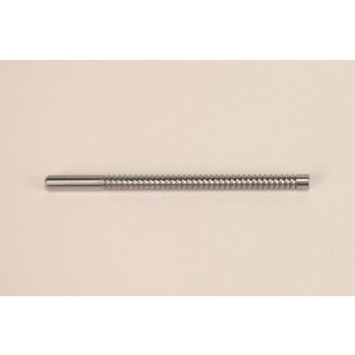 Paroject Kolbenstange St