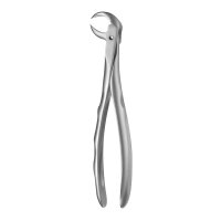 Sauerbruch Etui gelocht 55-162 St