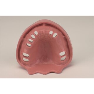 Gingiva Modell OK TZ 10N St