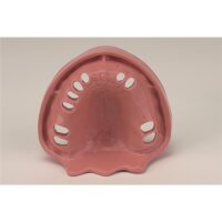 Gingiva Modell OK TZ 10N St