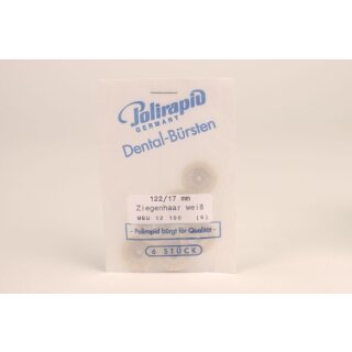 ZR Bürste unm. Ziege weiß Ø17mm 6St