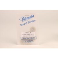 ZR Bürste unm. Ziege weiß Ø17mm 6St