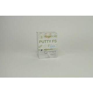 R-SI-LINE Putty FS  2x600g Ds