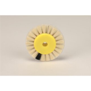 Einlagebürste Vlies 2/45/25Hatho  St