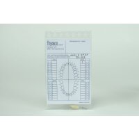 Modellzahn OK 21 Vollkrone St