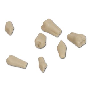 Frasaco Modell AG-3 OK+UK 28Zähne St