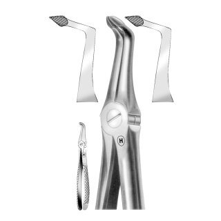 Zahnzange engl.Form UK Wurzeln Tiefg. St