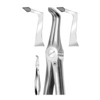 Zahnzange engl.Form UK Wurzeln Tiefg. St