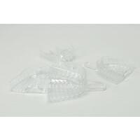 President Tray groß OK Gr.1  Dtz