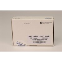 IPS e.max Zircad Inl. MO 1 B65 L17 St