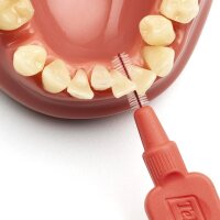 Interd.Bürsten 0,5mm H-rot Xw 25St