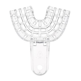 President Tray  10St Sample-Pa