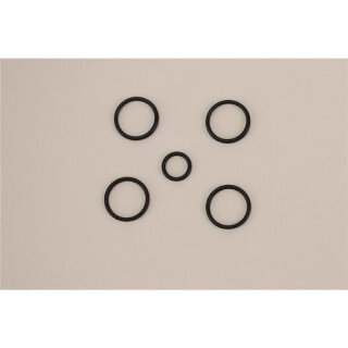 O-Ring f. Prophy Mate Ptl 5er Set