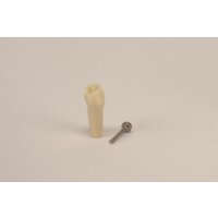 Modellzahn AK-6/2 ZE 54 OK Kind St