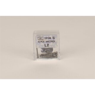 Ancorex Screw Posts L2 10St