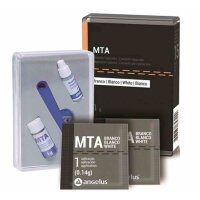 MTA Root Canal Repair Material grau 1g