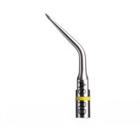 Endo Success Spitze ASRD St