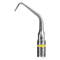 Endo Success Spitze AS6D St