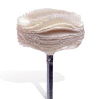 DT Flanellschwabbel 21mm Hst 6St