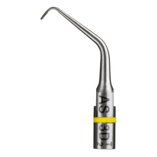 Endo Success Spitze AS3D St