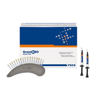 GrandioSO H.F. A3 Spritze 2x2g