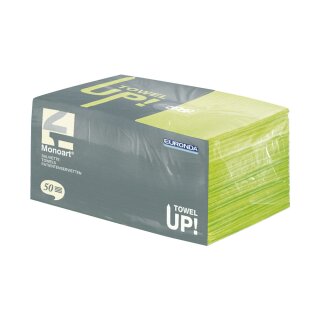 MONOART Pat.Serv. 33x45 cedro 500St