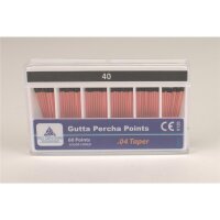 FKG Guttaperchasp. 04. 040 60St