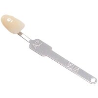 Vita Classic Farbstäbchen A2 St