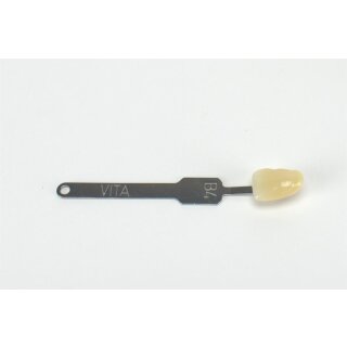 Vita Classic Farbstäbchen B4 St