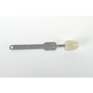 Vita Classic Farbstäbchen C1 St