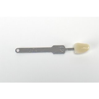 Vita Classic Farbstäbchen C2 St