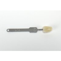 Vita Classic Farbstäbchen C3 St