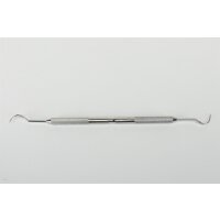 Sonde 3CH Kuhhorn DE  St