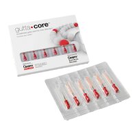 Guttacore Obturator 060B  6St