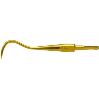 Scaler Eagle Claw B XP Quick Tip AE St