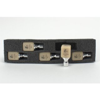 VITA ENAMIC ARCTICA EM14,3M2 HT 5St