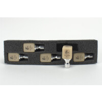 VITA ENAMIC ARCTICA EM14,3M2 HT 5St