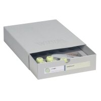 Vita VM9 Gingiva Kit