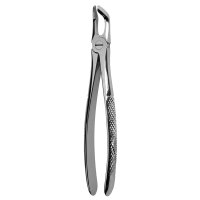 Zahnzange Erw. 11-79 St