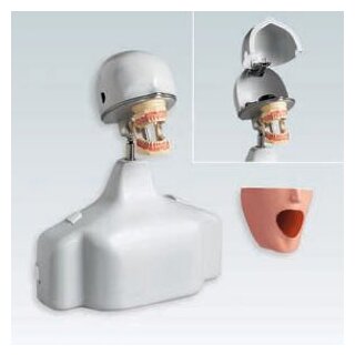 Phantomkopf PK-1 TSE St