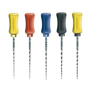 Protaper Hand.Finishing3 31mm steril 6St